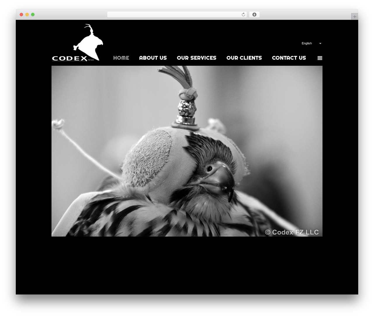 WP theme Codex - codex.ae WP theme Codex - codex.ae