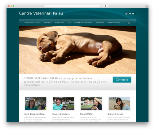 Awake theme WordPress - centreveterinaripalau.com