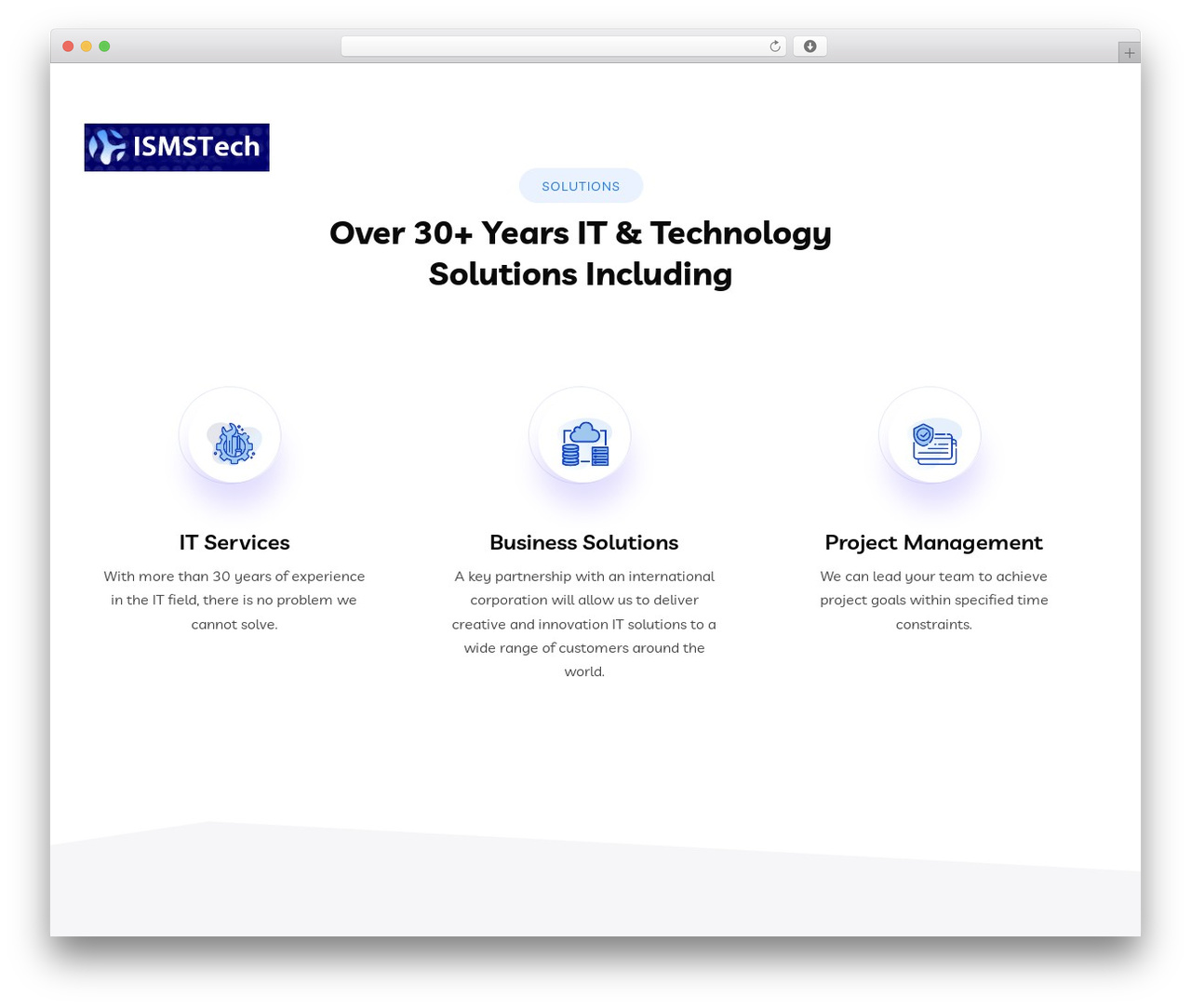 Braintech WordPress theme - ismstech.com