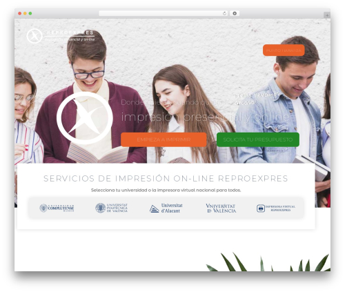 Hub WordPress theme - reproexpres.com