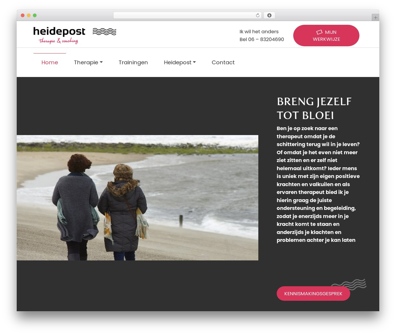 Pixel Example Theme best WordPress theme - heidepost.nl