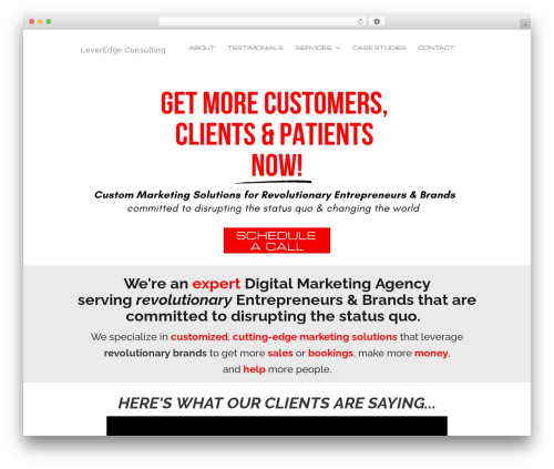 SmartTheme premium WordPress theme - leveredgeconsulting.com