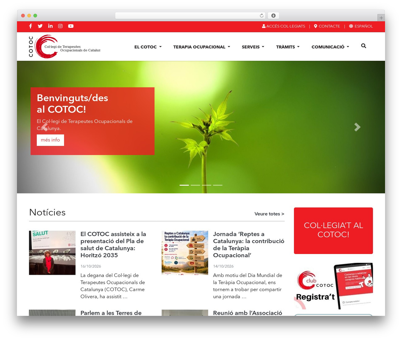 Theme WordPress Cotoc Theme - www.cotoc.cat