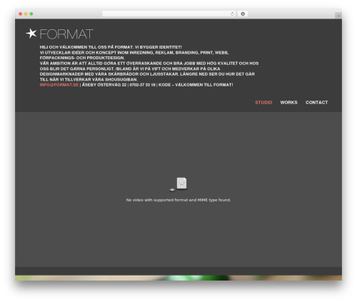 The Sceleton theme best WordPress theme - format.se