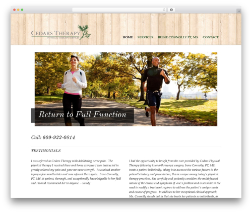 WordPress website theme Agency - cedarstherapy.com