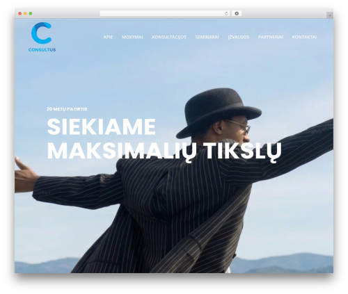Bridge WordPress theme - consultus.lt