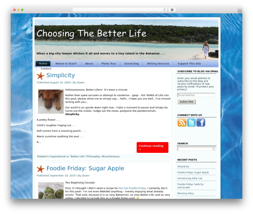 Social Profiles Widget (social-profiles-widget) free WordPress plugin - choosingthebetterlife.com
