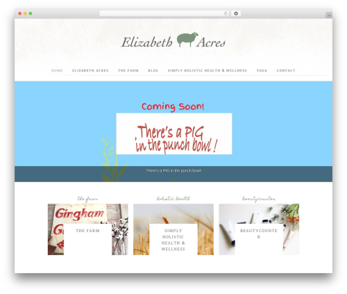 Genesis WordPress theme - elizabethacres.com