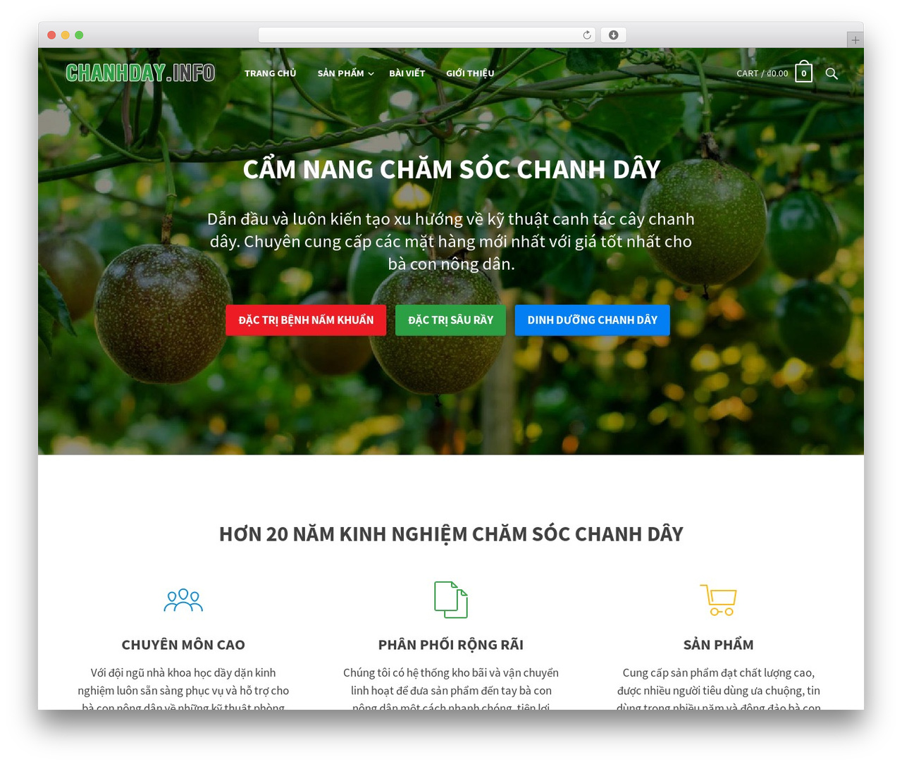 Subscribe Pro theme WordPress - chanhday.info Subscribe Pro theme WordPress - chanhday.info