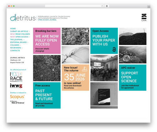 WordPress theme Reframe Plus - detritusjournal.com