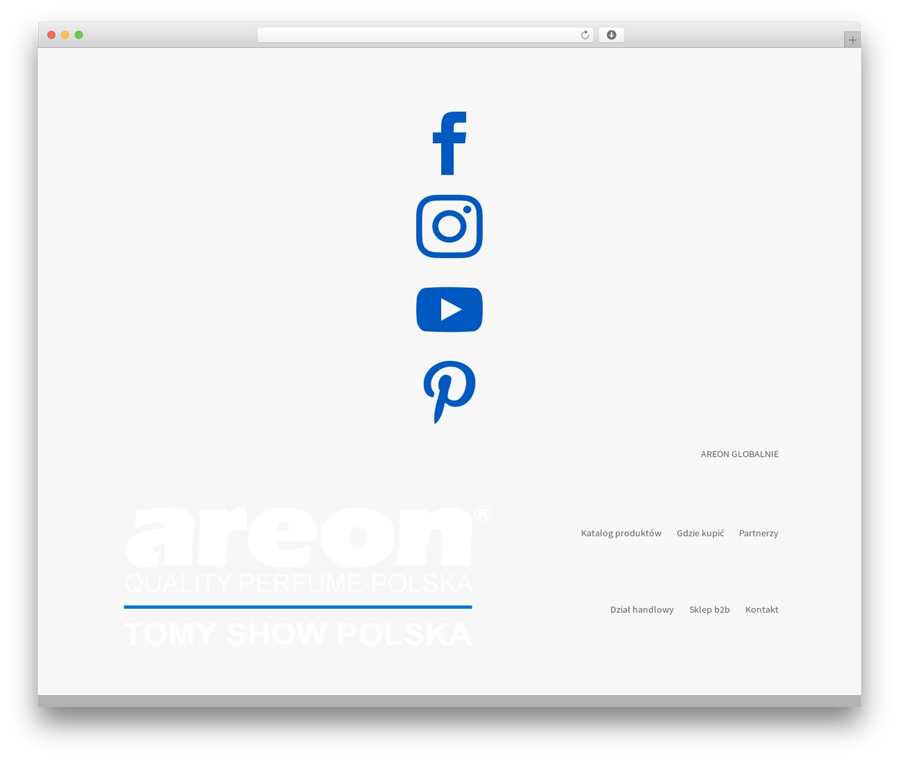 Divi top WordPress theme - areon.pl