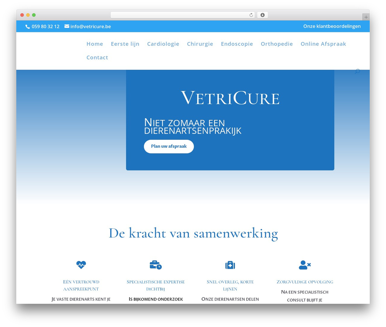 Theme WordPress Divi - vetricure.be Theme WordPress Divi - vetricure.be