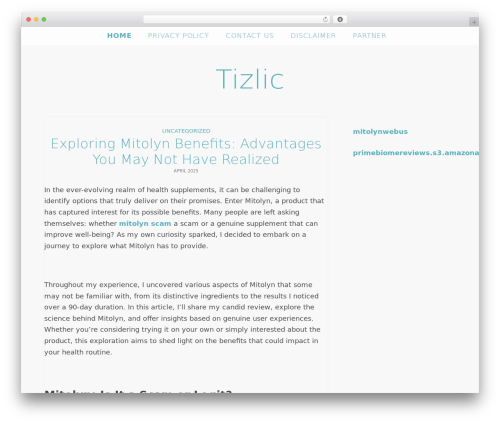 Whimsy Framework WordPress page theme - tizlic.com