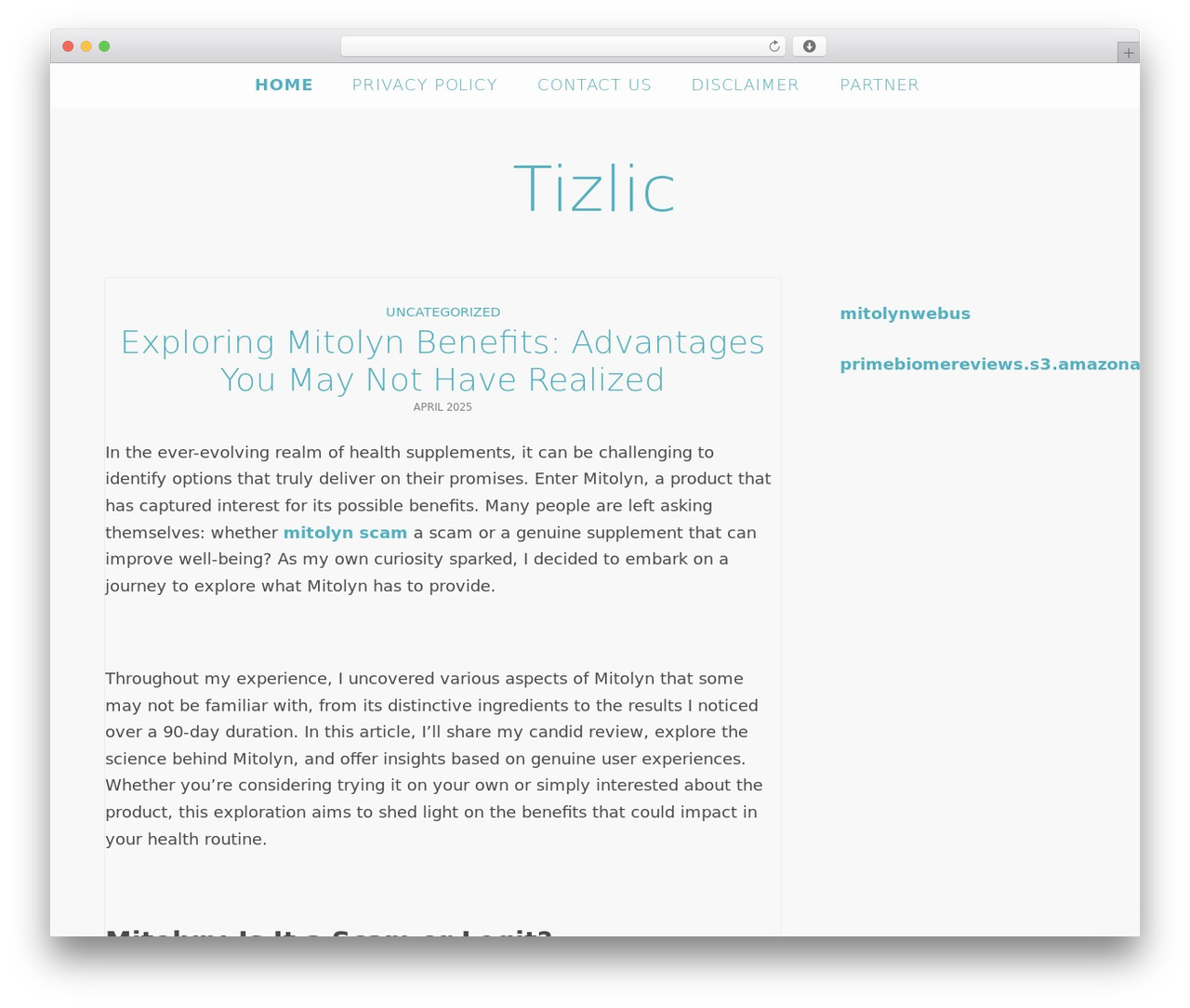 Whimsy Framework WordPress page theme - tizlic.com
