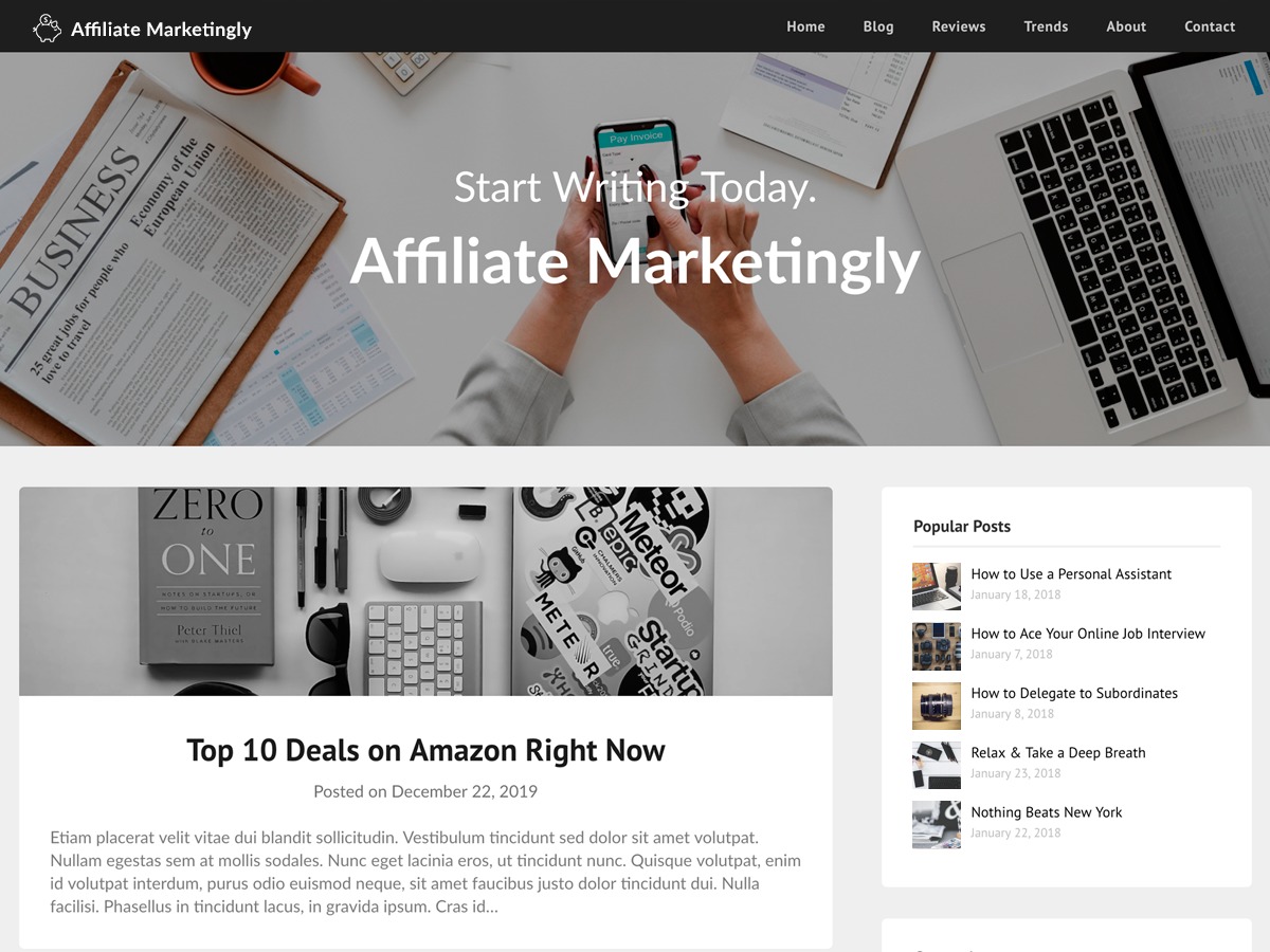 Affiliate Marketingly WordPress blog theme