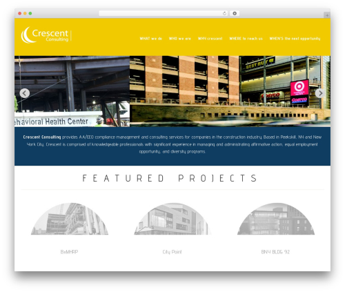 Epik WordPress theme - crescentconsult.com