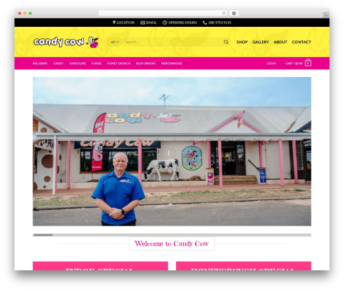 Wp hummingbird WordPress plugin - candycow.com.au
