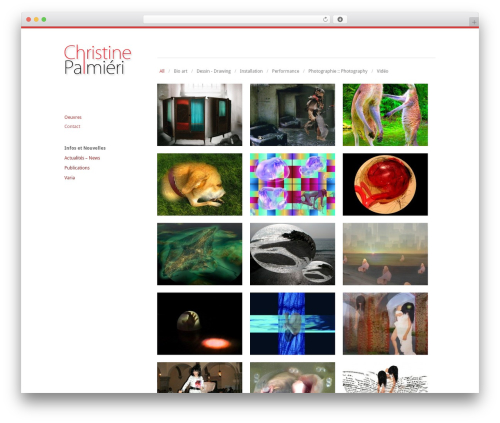 Infinity WordPress website theme - christinepalmieri.com