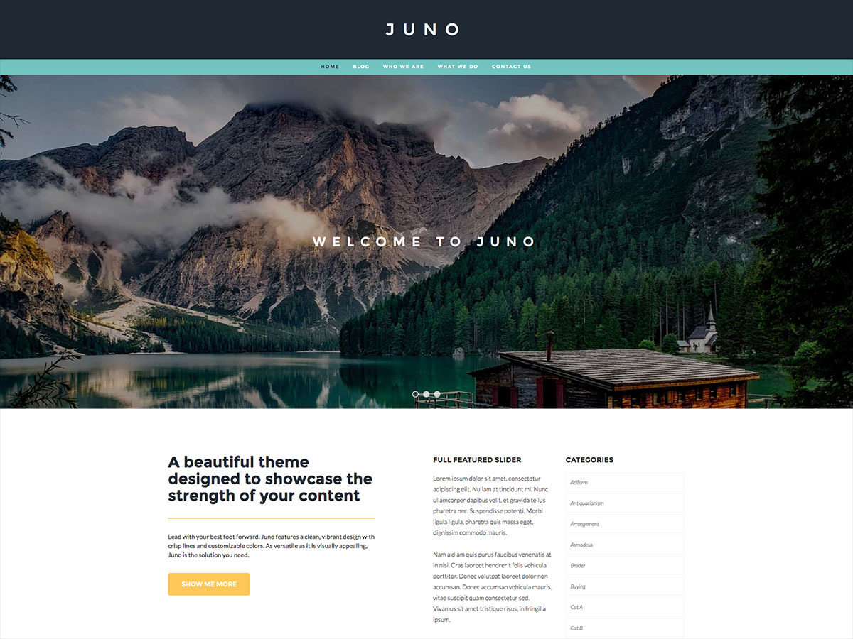 Juno Pro WordPress theme Juno Pro WordPress theme