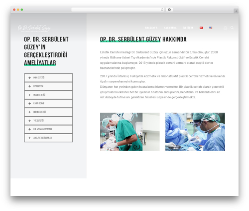 Mint theme WordPress - drserbulentguzey.com