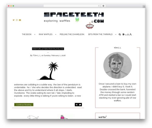 Writee Pro WordPress theme - spaceteeth.com Writee Pro WordPress theme - spaceteeth.com