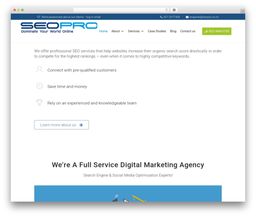 Cool timeline pro WordPress plugin - seopro.co.nz