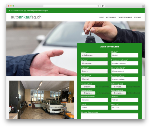 Codenovo Portfolio (codenovo-portfolio) free WordPress plugin - autoankaufsg.ch