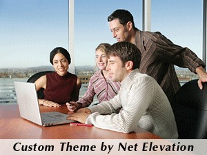 Net Elevation 2 top WordPress theme by Net Elevation