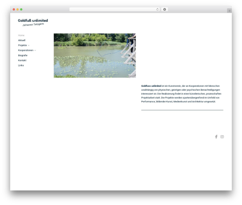 Reframe Plus theme WordPress - goldfussunlimited.com