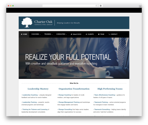Theme WordPress Alpha - cocg.com