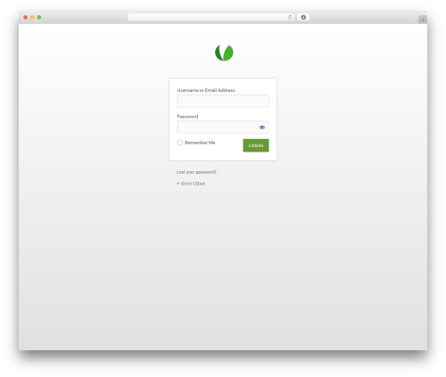 WP theme Creative Slice Systems - cslice.com/wp-login.php?redirect_to=cslice.com/&reauth=1