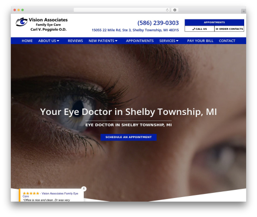 Theme WordPress Parent Theme - visionassociatesfec.com