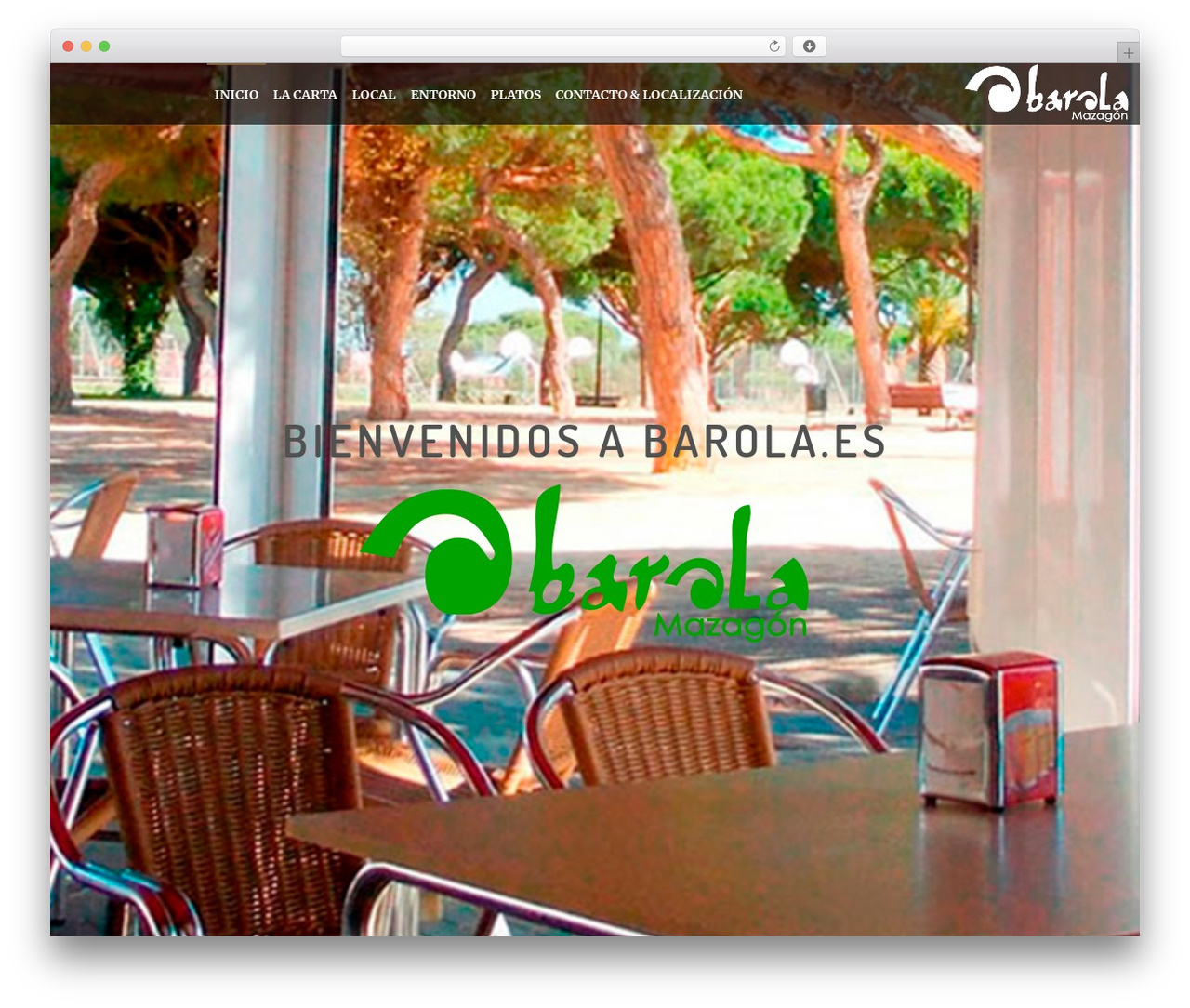 WordPress website theme DFD Native - barola.es