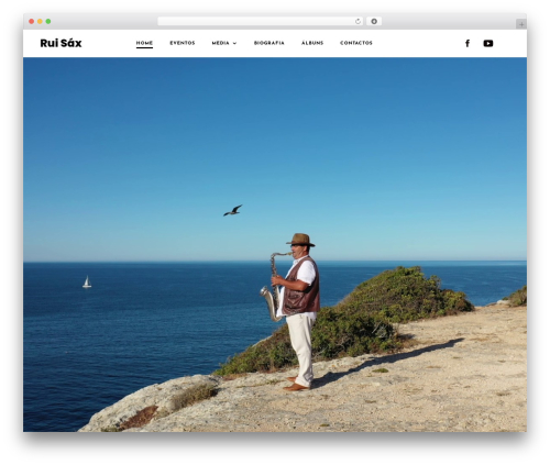 WordPress website theme Mozo - ruisax.com