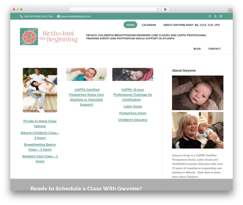 WP theme The7 Classic - birthisjustthebeginning.com