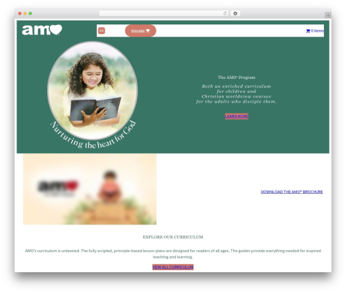 Uncanny learndash groups WordPress plugin - amoprogram.com