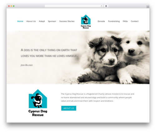 Divi WordPress theme - cyprusdogrescue.com