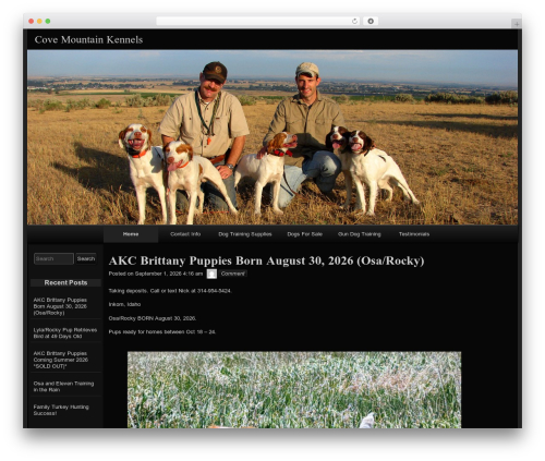 raindrops theme WordPress - covemountainkennels.com raindrops theme WordPress - covemountainkennels.com