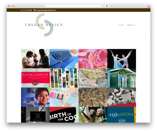 Sawebsolution divi accordion WordPress plugin - cregandesign.com