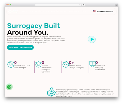 Telephone field for elementor forms WordPress plugin - tammuz.com
