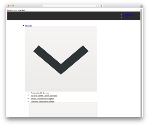Bricks theme WordPress - msq.health