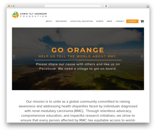 Causes theme WordPress - chrisjohnsonfoundation.org