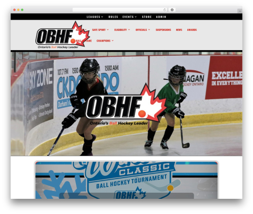 Easy Twitter Feed (easy-twitter-feeds) free WordPress plugin - ontarioballhockeyfederation.ca