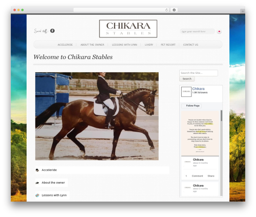 SimplenBright WordPress theme - chikara.co.za