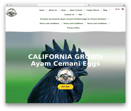 Boostify Header Footer Builder for Elementor (boostify-header-footer-builder) free WordPress plugin - porterspoultry.com