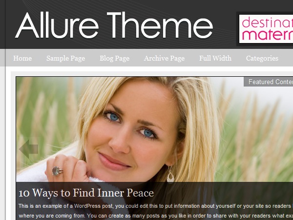 Allure Dark WordPress Theme WordPress theme