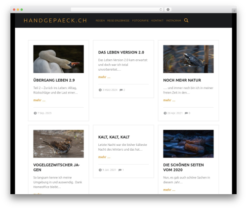 Zedity – The Layout-Free Content Editor (zedity) free WordPress plugin - handgepaeck.ch