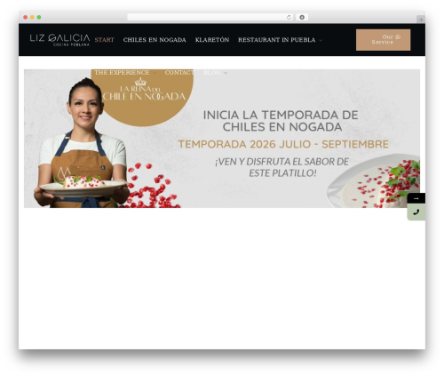 Benoit top WordPress theme - lizgalicia.com