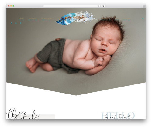 Hello Chic theme WordPress - ginabarnabyphotography.com