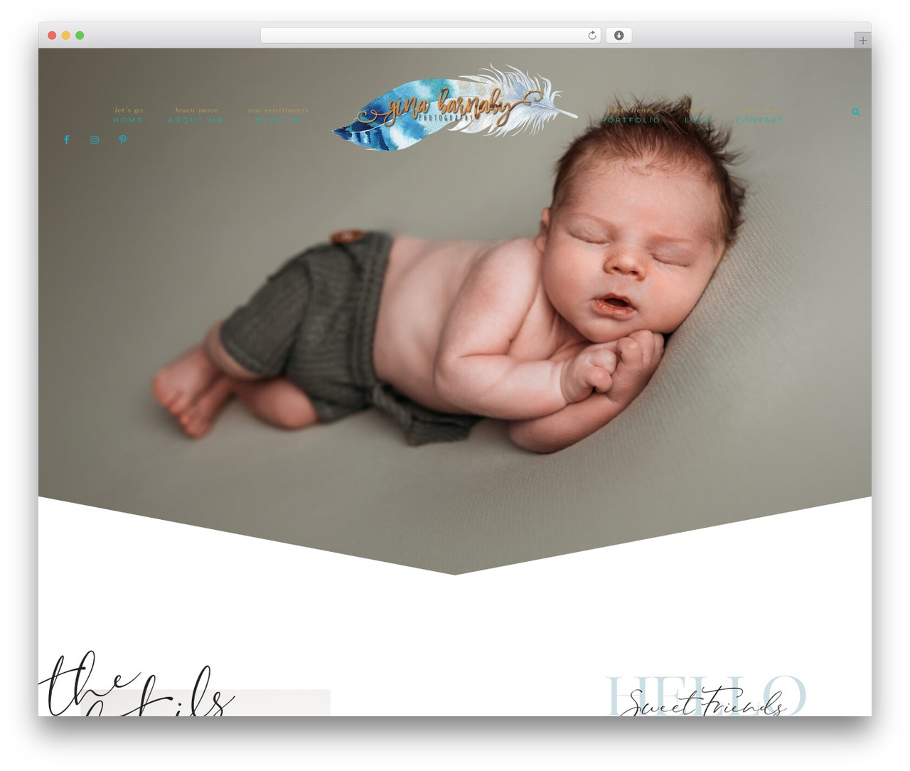 Genesis theme WordPress - ginabarnabyphotography.com Genesis theme WordPress - ginabarnabyphotography.com